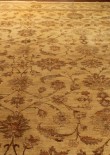 Design Kabul 406410